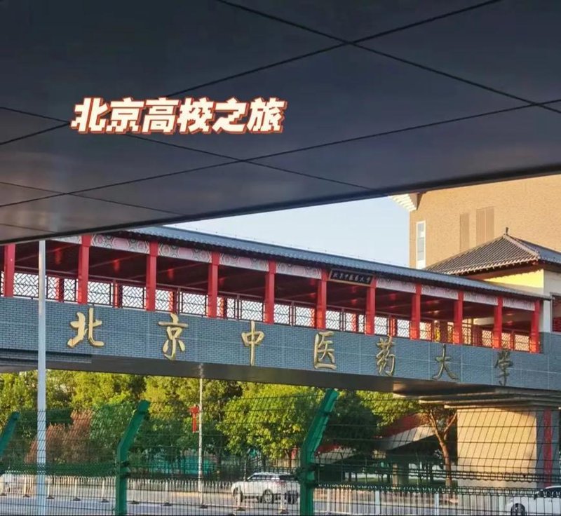 慢性病调理:寻找健康的钥匙