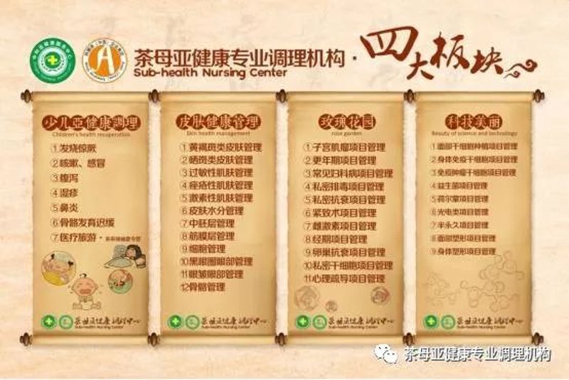 中医养生:传统智慧与现代健康理念的融合